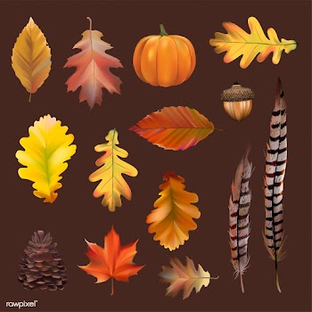 Collection of autumn leaves vector | Free stock vector - 60754