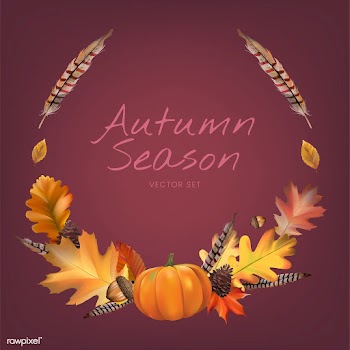 Collection of autumn leaves vector | Free stock vector - 60755