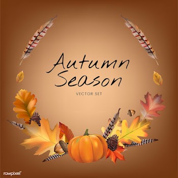 Collection of autumn leaves vector | Free stock vector - 60756
