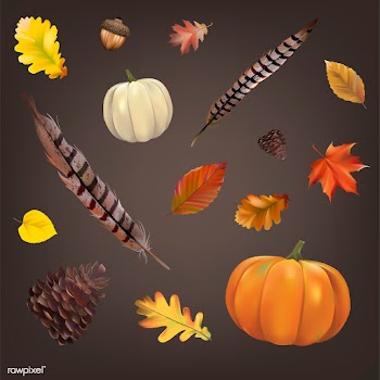 Collection of autumn leaves vector | Free stock vector - 60758