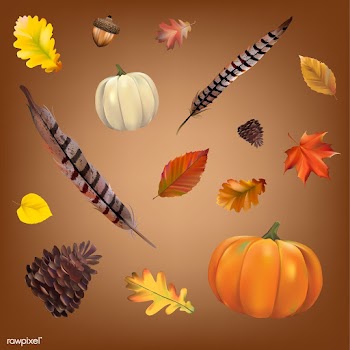 Collection of autumn leaves vector | Free stock vector - 60760