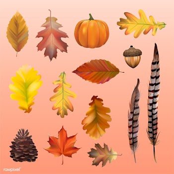 Collection of autumn leaves vector | Free stock vector - 60765