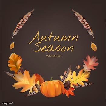 Collection of autumn leaves vector | Free stock vector - 60767