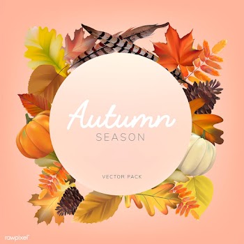 Collection of autumn leaves vector | Free stock vector - 60768