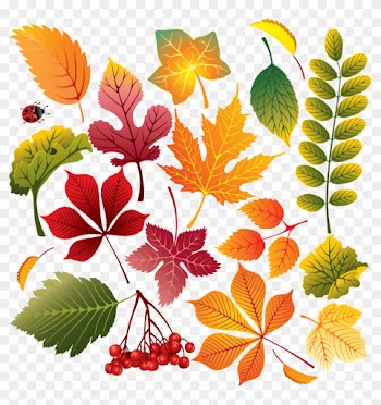 Collection Of Autumn Vector Leaves - Autumn Pattern Tote Bag, Adult Unisex, Natural