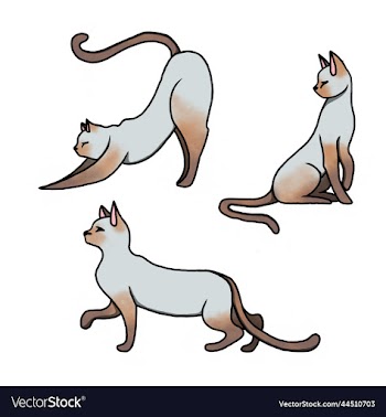 collection of clip art cats set of