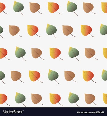 collection of colorful autumn leaves autumn warm