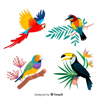 Collection of flat exotic bird Free Vector