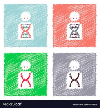 Collection of flat shading style clinical icons vector image