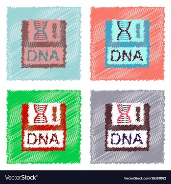 Collection of flat shading style clinical icons vector image