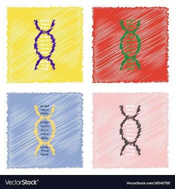 Collection of flat shading style clinical icons vector image