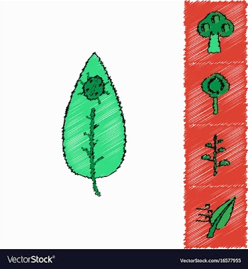 Collection of flat shading style icons nature vector image