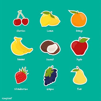 Collection of fruits and berries | Free stock vector - 416987