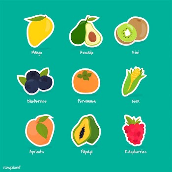Collection of fruits and berries | Free stock vector - 416996