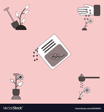 Collection of icons and care of plants vector image