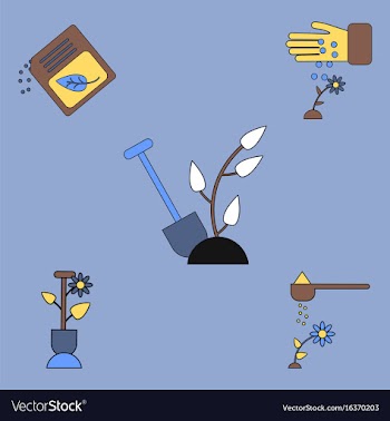 Collection of icons and care of plants vector image