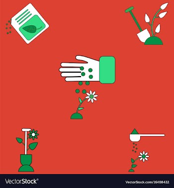 Collection of icons and care of plants vector image