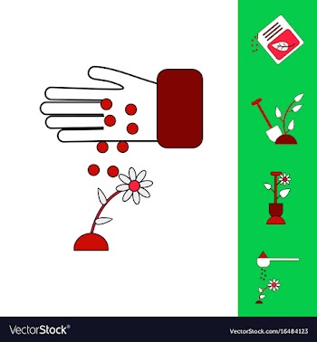 Collection of icons and care of plants vector image