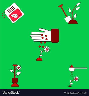 Collection of icons and care of plants vector image