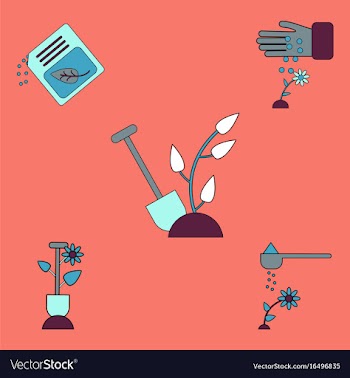 Collection of icons and care of plants vector image