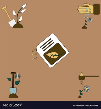 Collection of icons and care of plants vector image