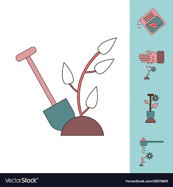 Collection of icons and care of plants vector image