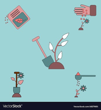 Collection of icons and care of plants vector image