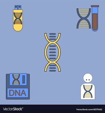 Collection of icons and human dna vector image
