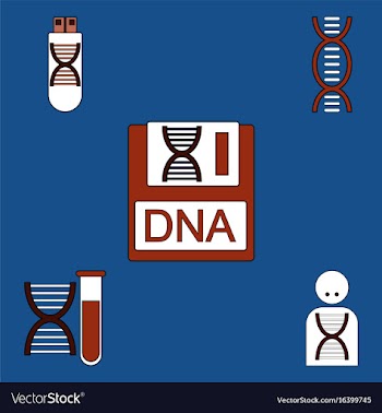 Collection of icons and human dna vector image