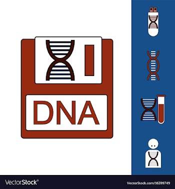 Collection of icons and human dna vector image