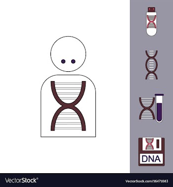 Collection of icons and human dna vector image