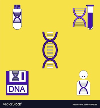 Collection of icons and human dna vector image