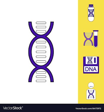 Collection of icons and human dna vector image