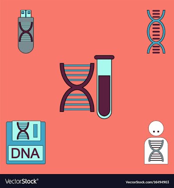 Collection of icons and human dna vector image