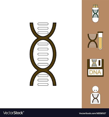 Collection of icons and human dna vector image