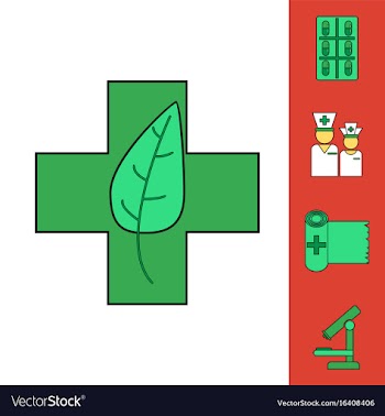 Collection of icons and medical tools vector image