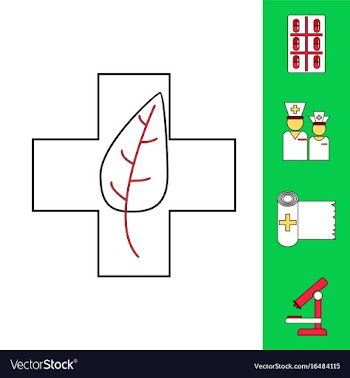 Collection of icons and medical tools vector image