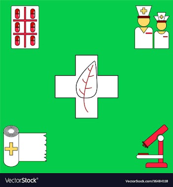 Collection of icons and medical tools vector image