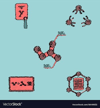Collection of icons and molecules and atoms vector image