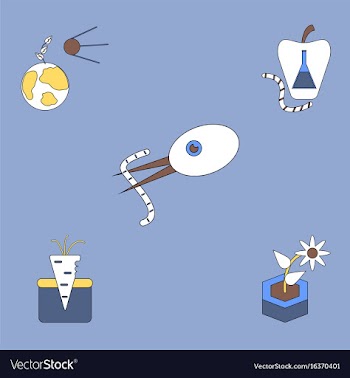 Collection of icons and planet and ecosystem vector image