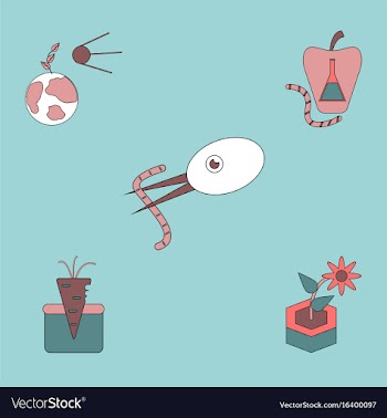 Collection of icons and planet and ecosystem vector image