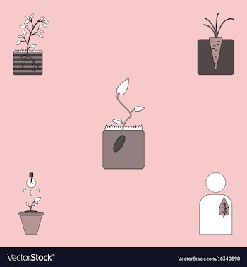 Collection of icons and plants stages vector image