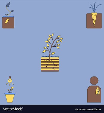 Collection of icons and plants stages vector image