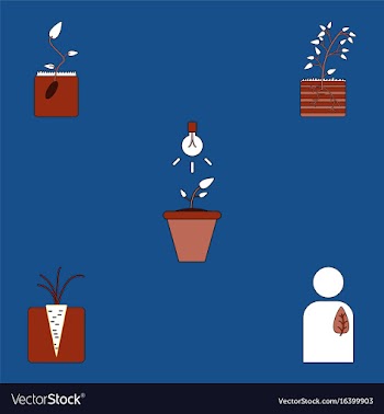 Collection of icons and plants stages vector image
