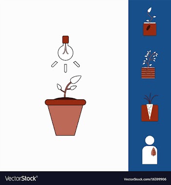 Collection of icons and plants stages vector image
