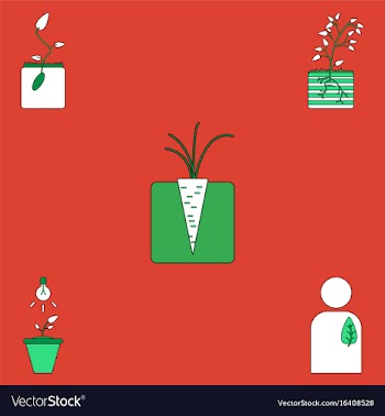 Collection of icons and plants stages vector image