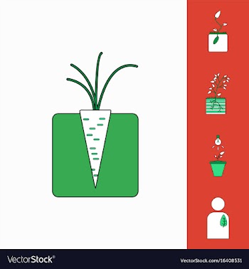 Collection of icons and plants stages vector image