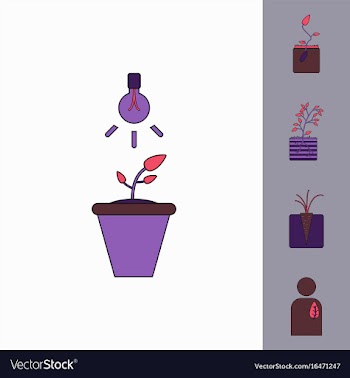 Collection of icons and plants stages vector image