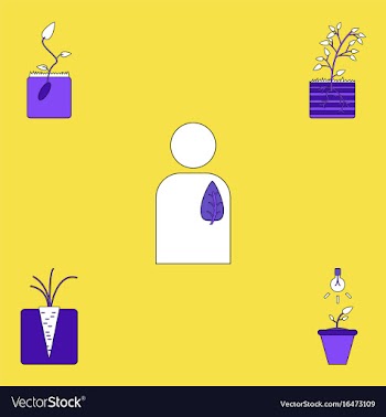 Collection of icons and plants stages vector image