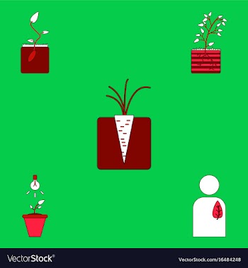 Collection of icons and plants stages vector image